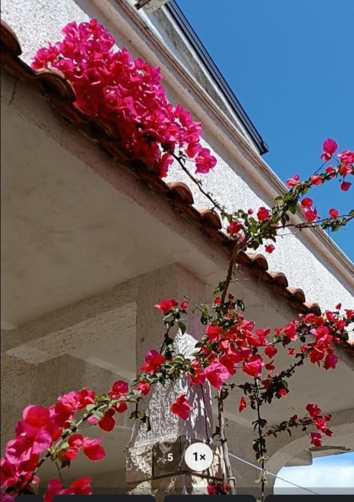 פובליאנה Apartments Sava מראה חיצוני תמונה